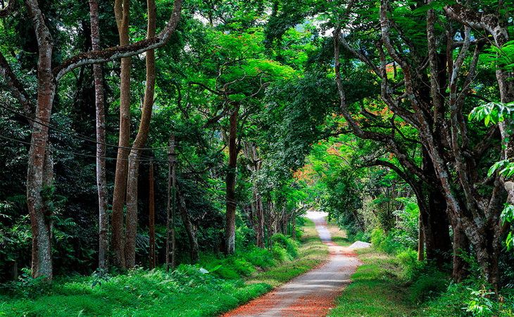 Удивительный отдых на Фукуок — райском острове во Вьетнаме